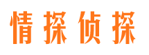 隆子外遇调查取证